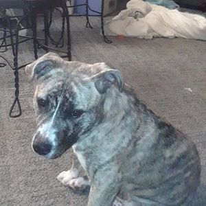 Meet your Posher, Johnna